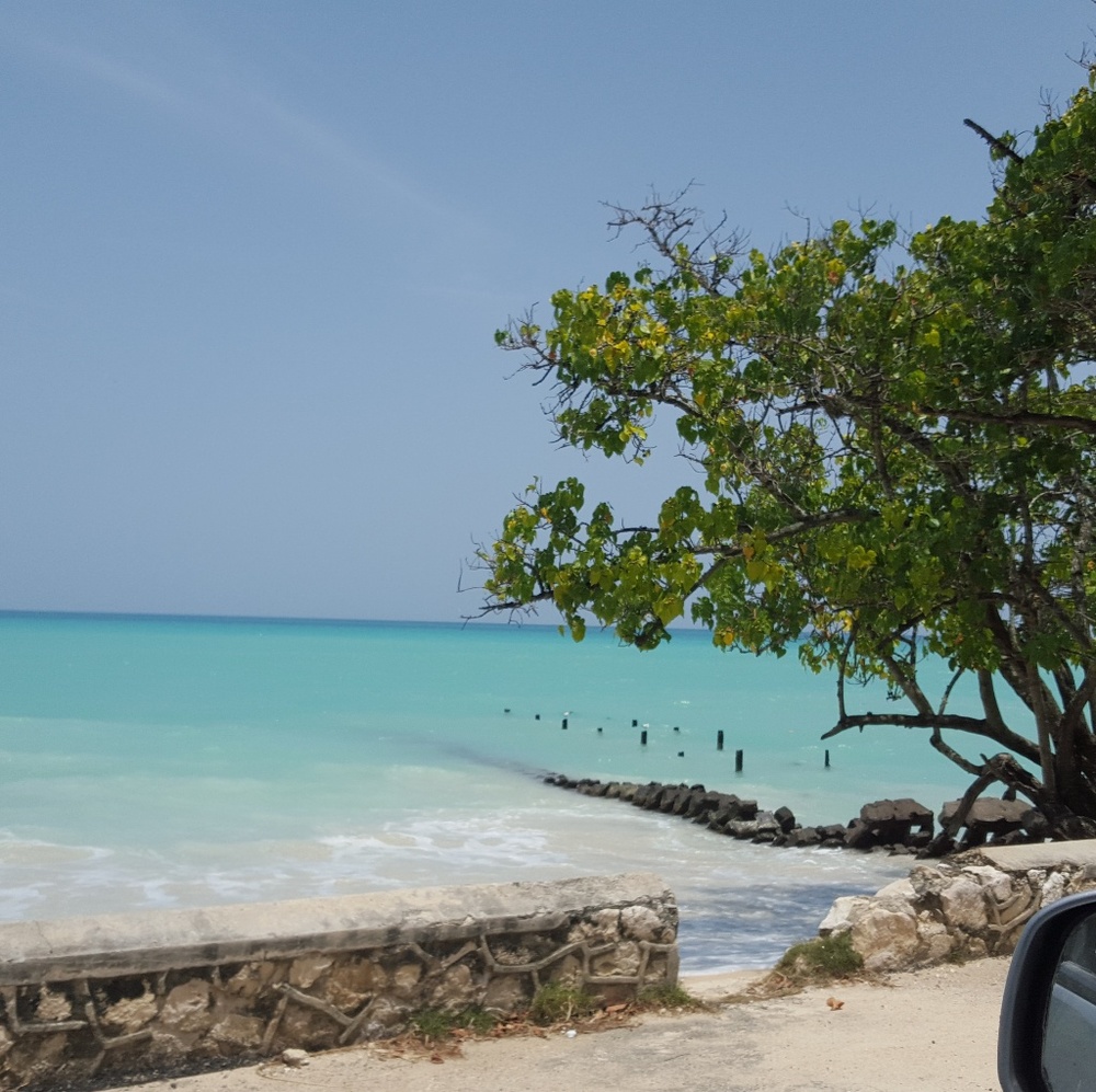 Meet your Posher, Kourtney